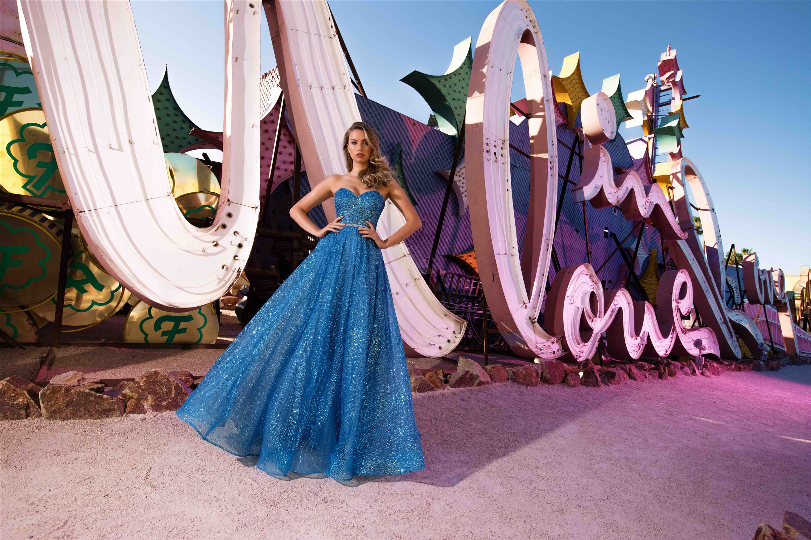 Gallery Header Image